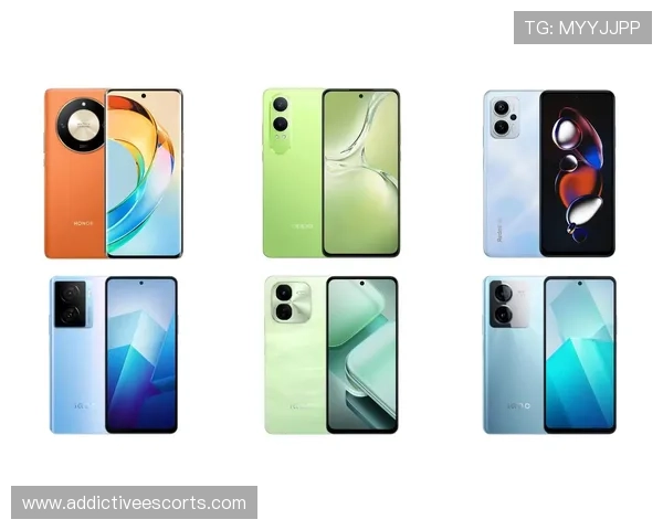 FC电子市场实用攻略:节省预算购买高性价比电子设备的方法 FC电子市场实用攻略:节省预算购买高性价比电子设备的方法