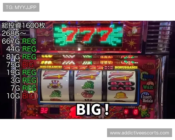 免费游戏老虎机大全2024年最受欢迎的免费老虎机游戏推荐让你轻松赢取丰厚奖金