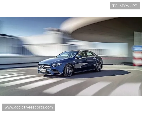 奔驰宝马娱乐城赌博玩法详解，全面了解各种游戏类型与操作技巧