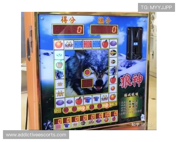 老虎机揭秘大公开：揭秘老虎机的常见误区与正确的游戏心态